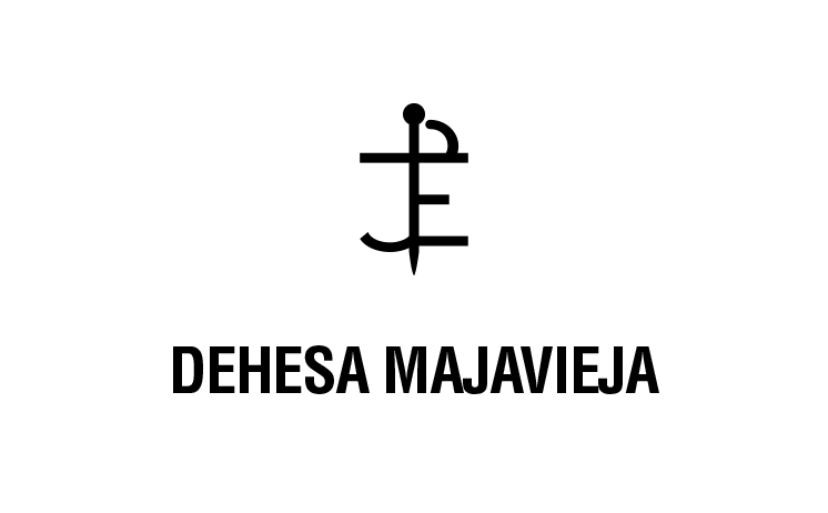 bg_logo_negro bg_logo_negro